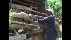 中国肉食需求上升挑战世界粮食安全 中国肉食需求上升挑战世界粮食安全